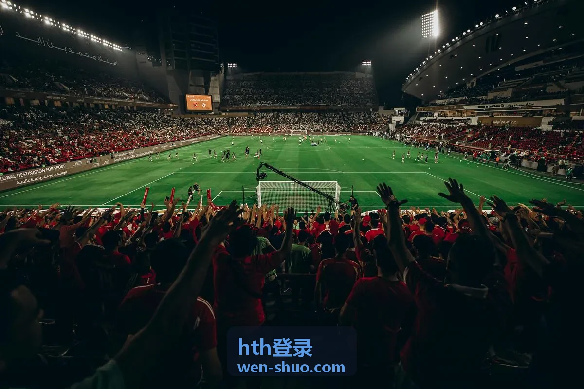 hth登录问题记录整理与提交入口示意图